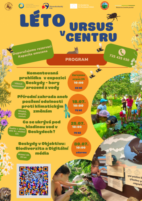 Green Brown Orange Creative Summer Camp Program (6)