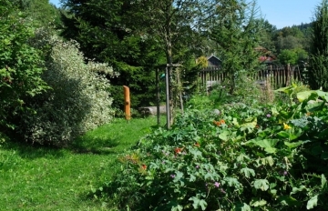 zahrada2