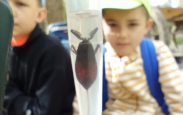 Obrázek WhatsApp, 2025-08-01 v 16.04.11_69be8bfe