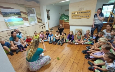 Obrázek WhatsApp, 2025-08-25 v 10.03.54_84c21d82