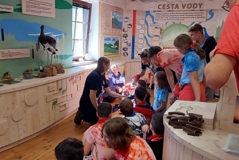 Obrázek WhatsApp, 2025-08-21 v 13.43.08_05798990