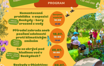 4227green_brown_orange_creative_summer_camp_program_6_.png