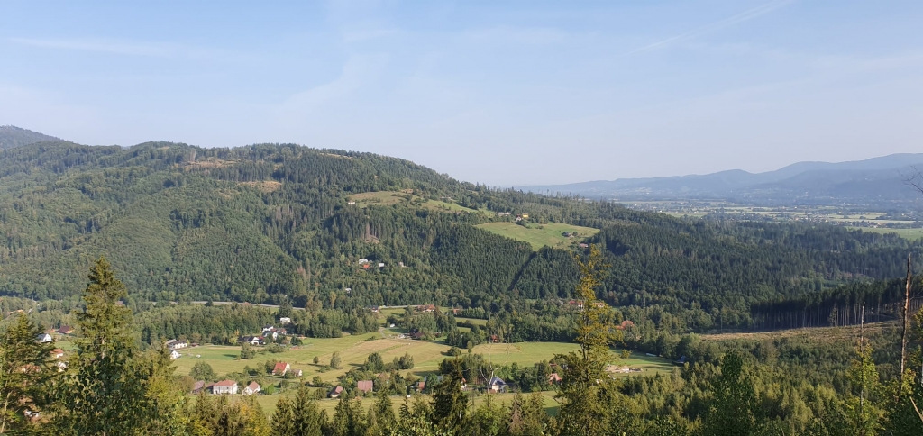 125obrazek whatsapp 2025 01 28 v 09.54.01 77e3a3d4 1 | Úvod