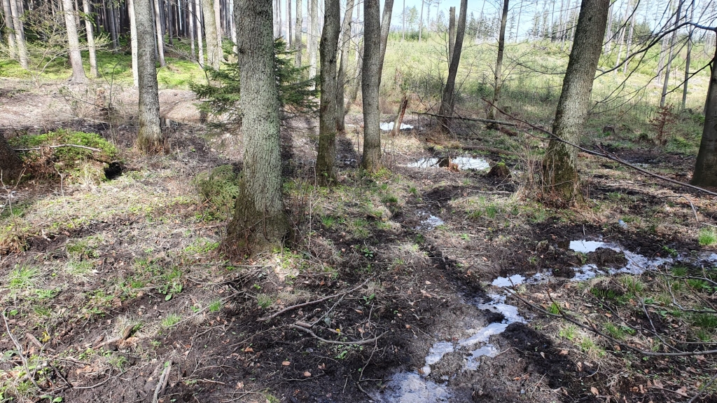 278obrazek whatsapp 2025 01 28 v 09.54.09 b5bdf53e | Úbytek vody v krajině a jeho příčiny