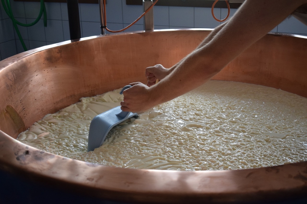 5950cheese 3569959 1280 | Dopady klimatické změny na zemědělství