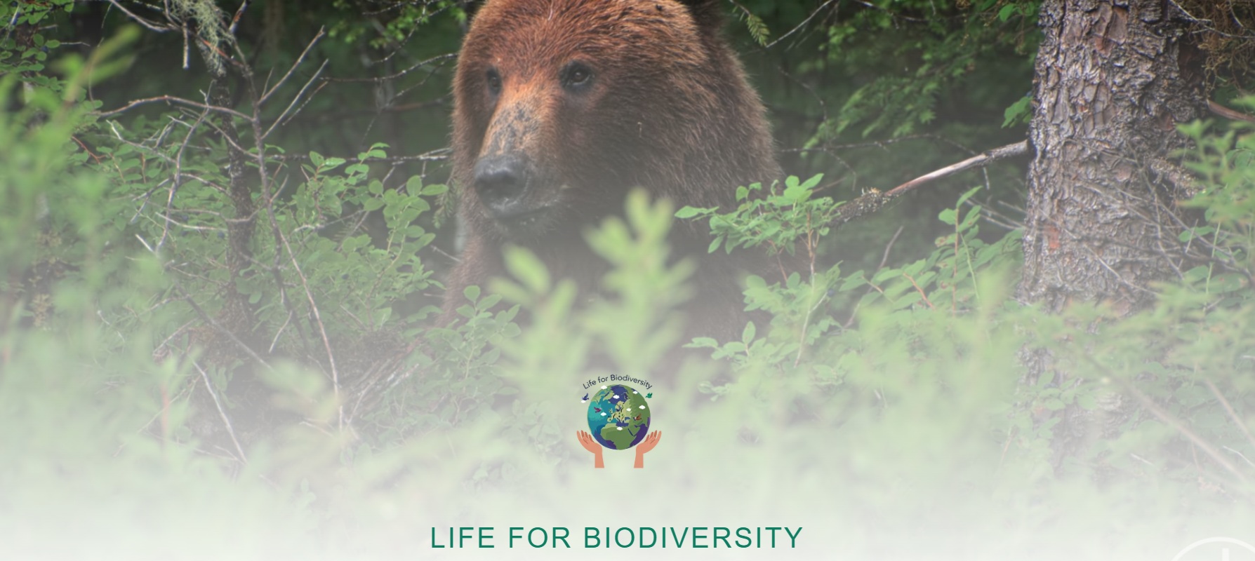 brozurta | Ze života biodiverzity