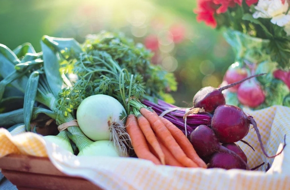 1675zaznam cele obrazovky 25.8.2025 144310.bmp | Vlastní pěstování jako cesta k udržitelnosti 