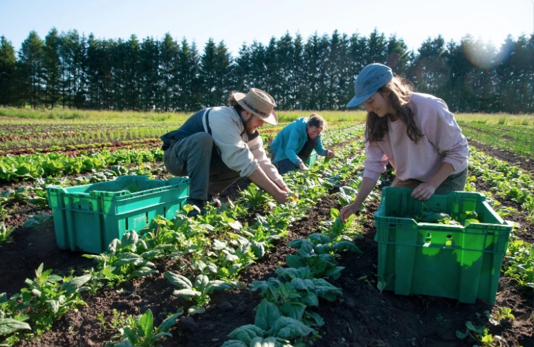 2423zaznam cele obrazovky 25.8.2025 115140.bmp | Lokální potraviny jako cesta k udržitelnosti
