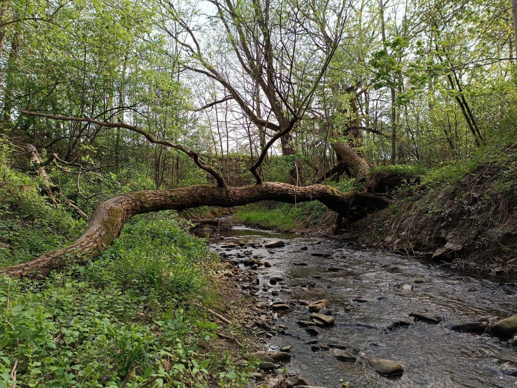 4442468801296 10212463459616894 4368356480434021452 n | Jak změny klimatu ovlivňují vodní zdroje