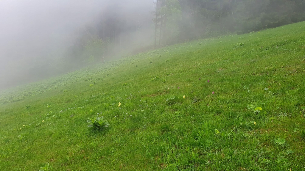 655obrazek whatsapp 2025 01 28 v 09.54.22 8d7b0f0d | Jak změny klimatu ovlivňují vodní zdroje