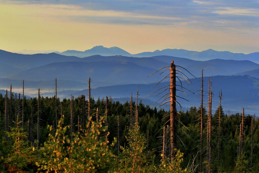 Beskydy 51 | Klíč k zelené budoucnosti na ČT2