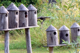 Frame 1220 2 | Výukový program ZŠ/1. stupeň