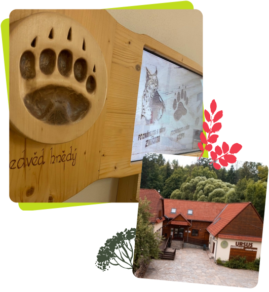 Frame 1982251102 | Úvod