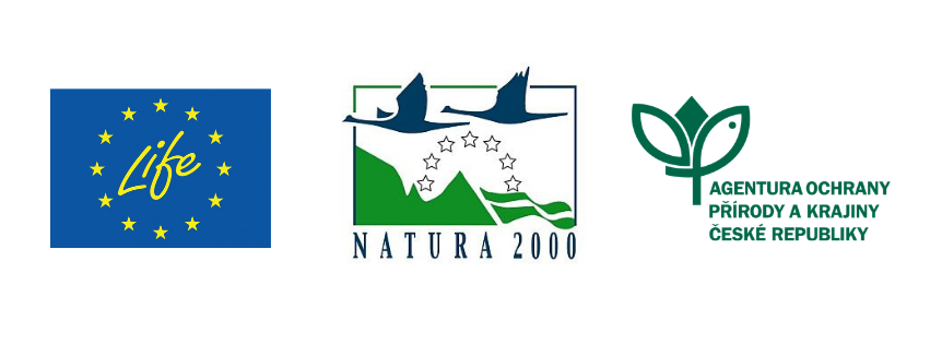 Navrh bez nazvu 2 | Projekty