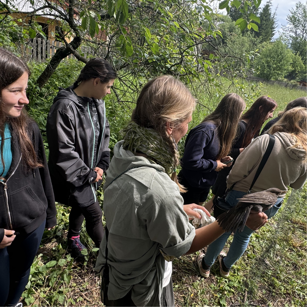 SS | Výukový program SŠ a SOŠ