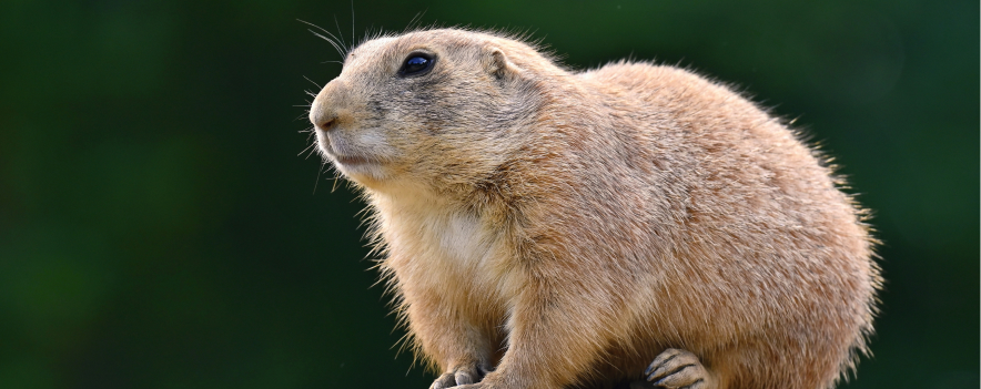 box 1 | 3D dokument Beskydská zákoutí