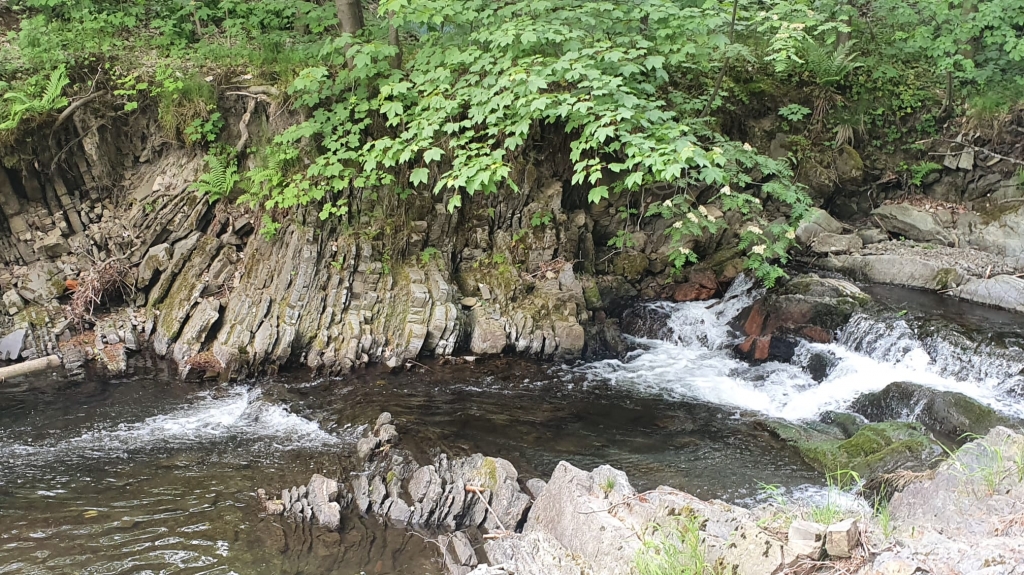 obrazek whatsapp 2025 01 28 v 09.54.22 c0fd9099 | Úvod