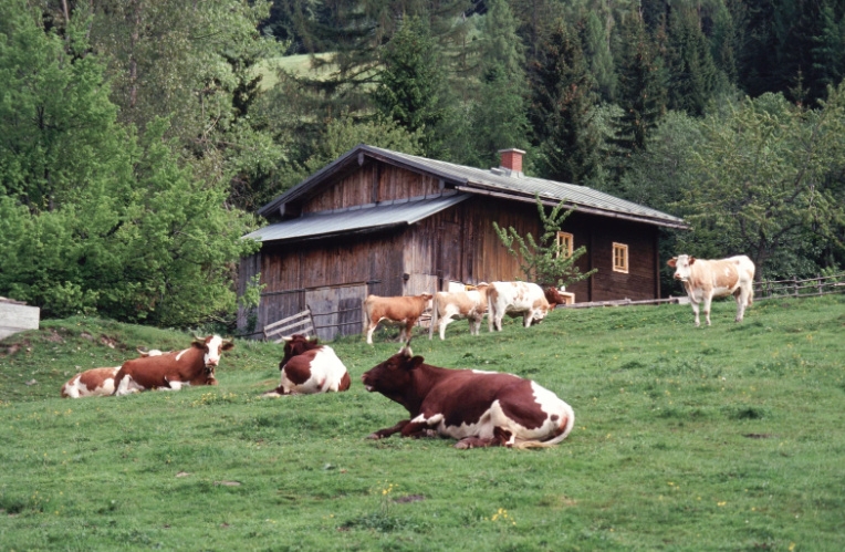 zaznam cele obrazovky 25.8.2025 115235.bmp | Úvod