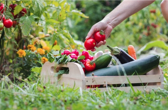 zaznam cele obrazovky 25.8.2025 143012.bmp | Úvod