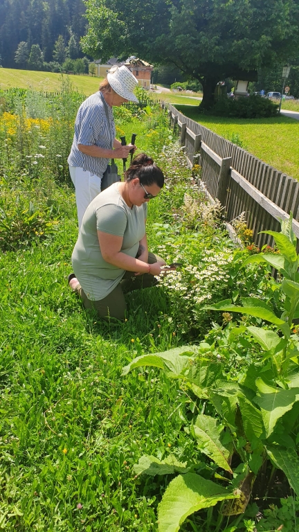 1280whatsapp image 2022 09 15 at 10.47.32 | SPOLEG: Přírodní a kulturní dědictví - Rakousko