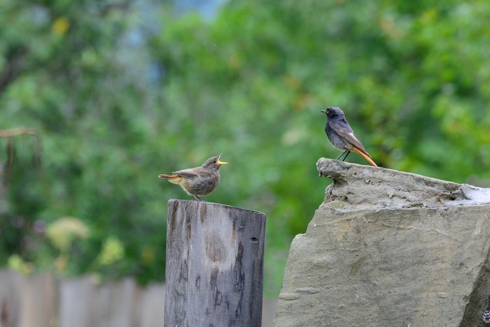 13700171 1752607758330185 2400881861366094449 n 1 | Úvod