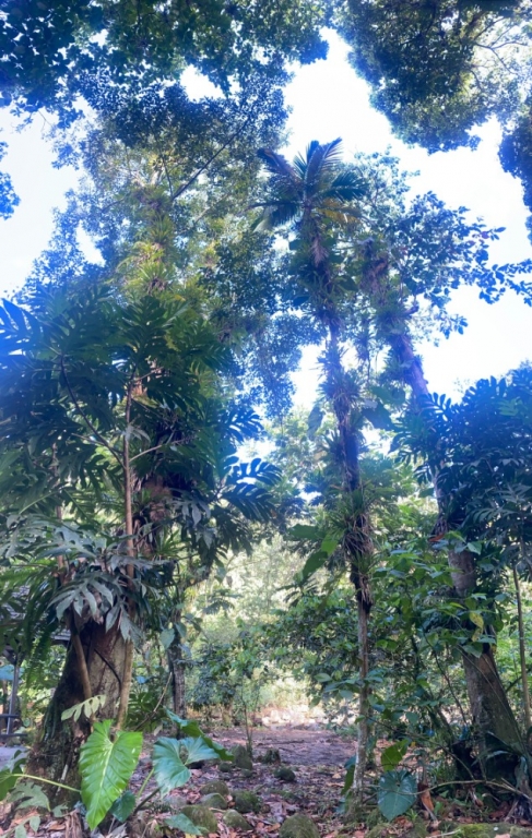 19862 2 | SPOLEG: Barevný ostrov Karibiku- Guadeloupe