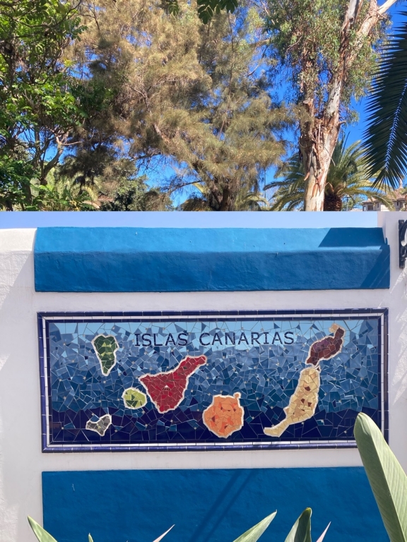 2046tenerife3 | SPOLEG: ERASMUS KA+ Tenerife