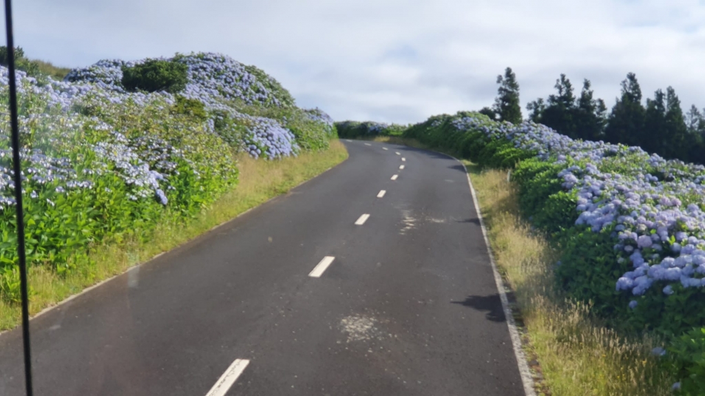 21 1 | SPOLEG: In Search of the Sunset: the Azores