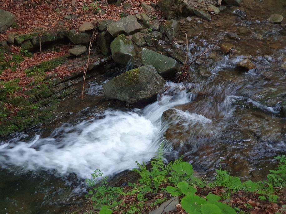 3261stazeny soubor | GoNATURE/ V souladu s přírodou