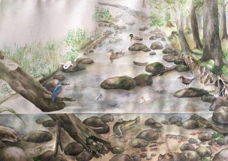 3767email.seznam.cz | Úvod