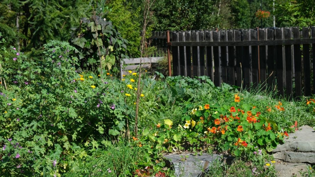 4571stazeny soubor 8 | GoNATURE/ V souladu s přírodou