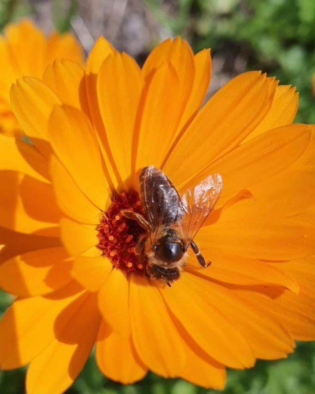 5122453380783 992155892914684 1816425647434242959 n 1 | Úvod