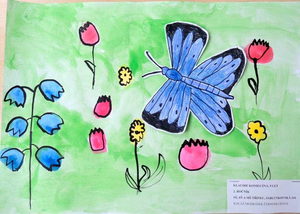 53133326dscf6403 | Výsledky soutěže Krása motýlích křídel