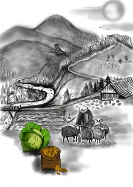 588a 1 | SPOLEG: Příběh Sůl nad zlato