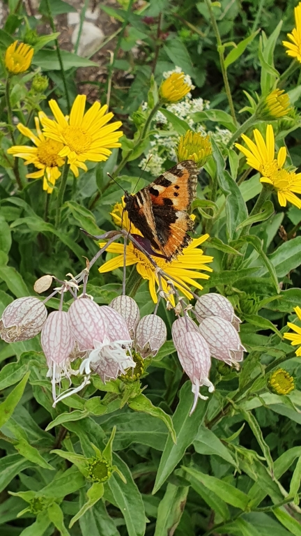 6 8 | SPOLEG: Přírodní a kulturní dědictví - Rakousko