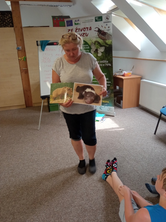 6433233695568 3131091903815090 8137998690117087233 n | Ze života medvěda hnědého - program 2021