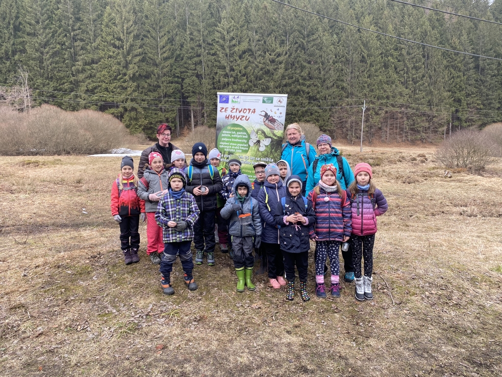 7588img 7916 | Krása motýlích křídel - ze života modráska