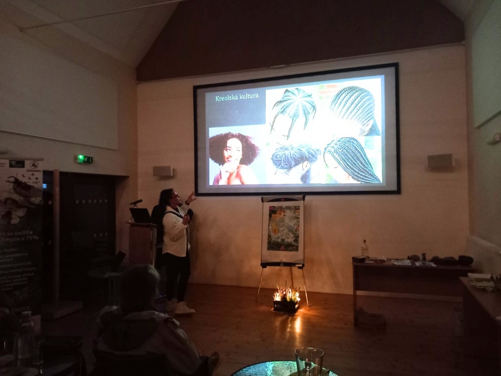 81382. prispeverk | Úvod