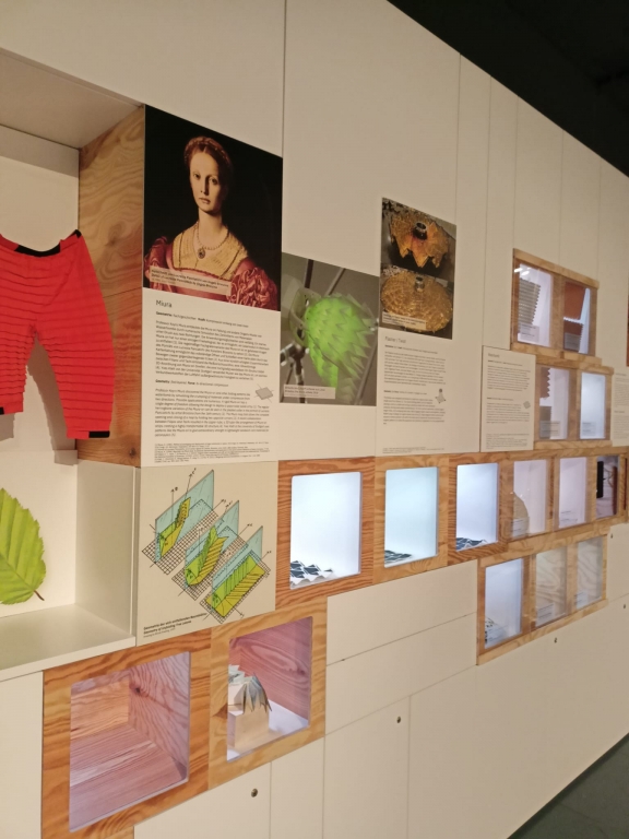 8354obrazek whatsapp 2024 05 23 v 13.50.39 c873891e | Erasmus+ - Rakousko - digitalní technologie