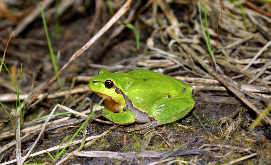 85 | Klenoty naši přírody- Příroda Beskyd