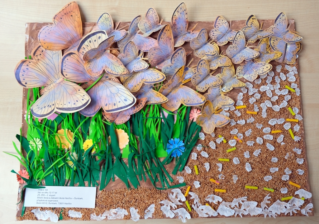 85605317dscf6409 | Výsledky soutěže Krása motýlích křídel