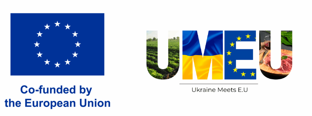 Bez nazvu | ERASMUS+ KA2 - "UKRAINE MEETS EU"