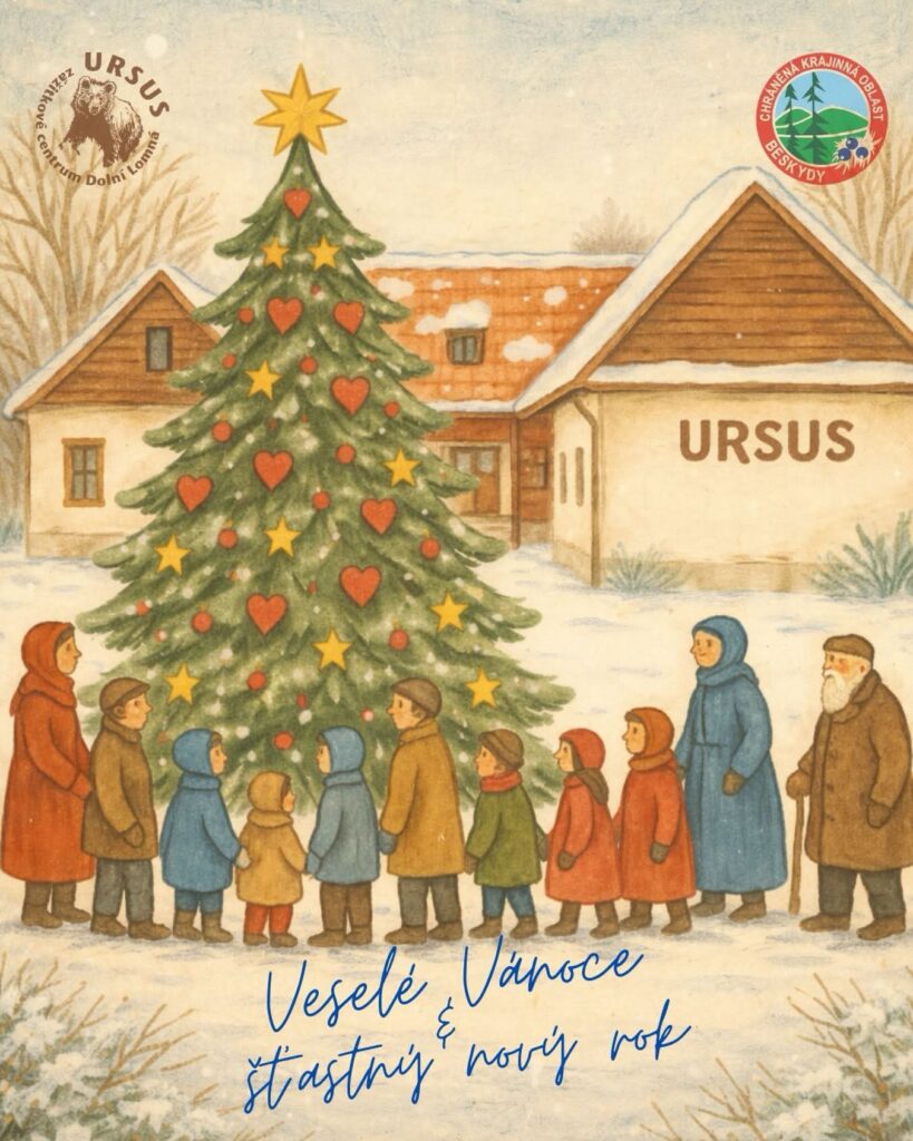 WhatsApp Image 2026 02 12 at 14.07.16 | Úvod