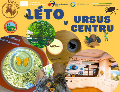 green brown orange creative summer camp program 788 x 940 px uvodni fotka na facebooku 1 1 1 | Program pro veřejnost - Léto 2024 v URSUS centru