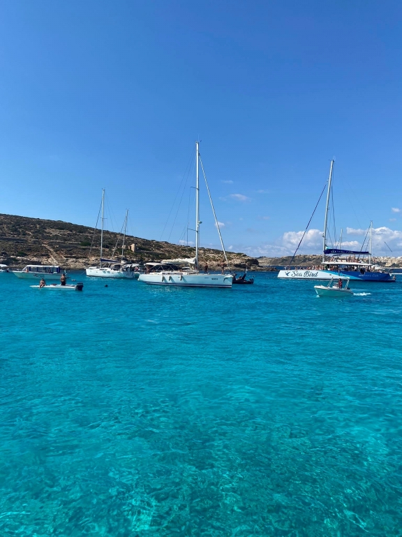 malta 3 1 | SPOLEG: Malta aneb odborná angličtina