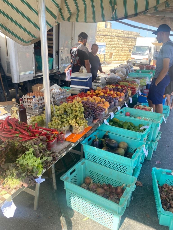 whatsapp image 2022 12 20 at 15.34.40 3 | SPOLEG: Malta a její přírodní dědictví