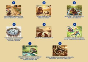 Karty pro vyucujici Ropucha obecna | Ze života biodiverzity