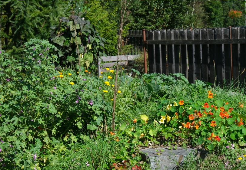 zahrada.png1 | Úvod