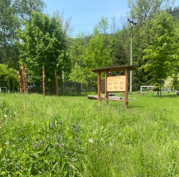 zahrada2 | Přírodní zahrada Zelený ráj