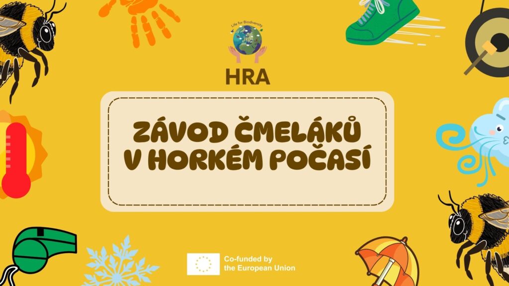 Hra Cmelak zemni | Úvod